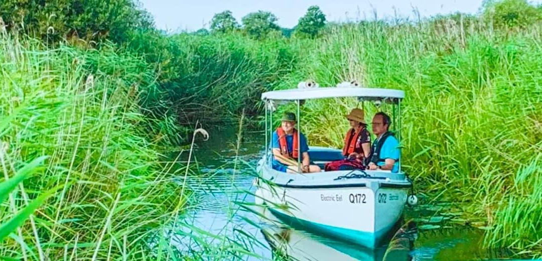 Electric Eel Boat Trip景点图片