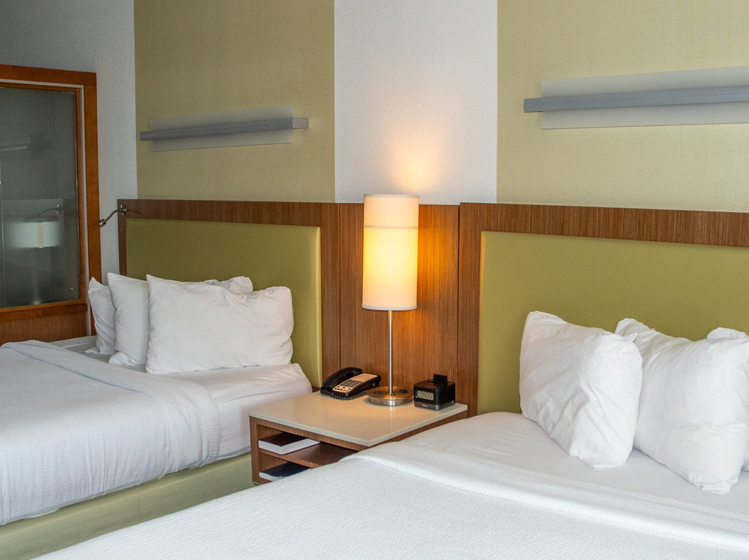 SpringHill Suites Raleigh Cary主图