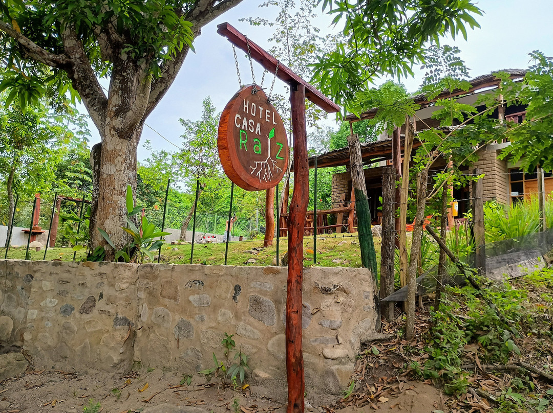 Hotel Casa Raiz