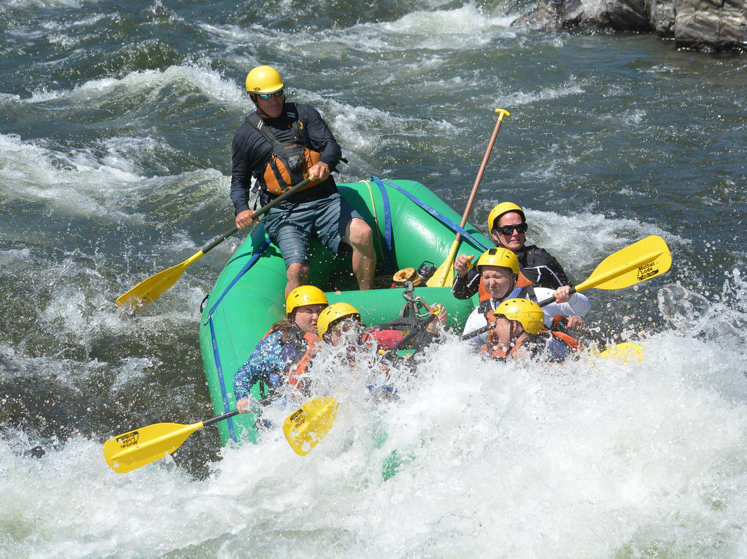 Mother Lode River Center-Lotus必去景点