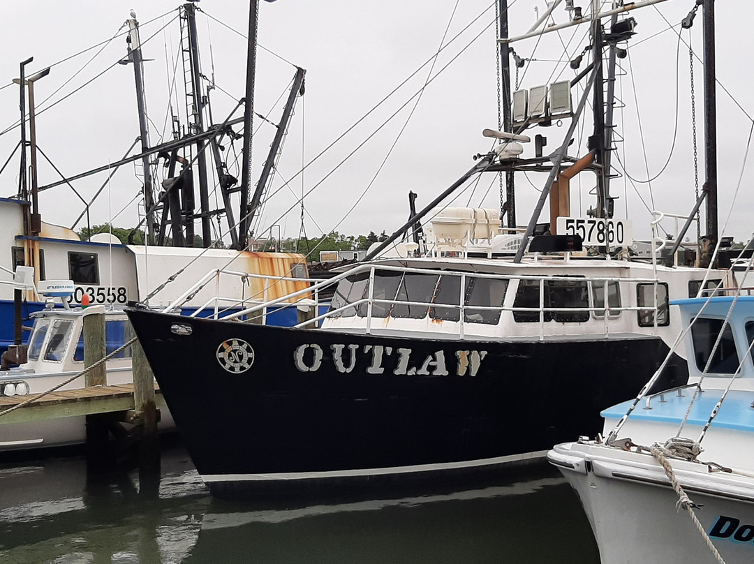 Cape Cod Harbor House Inn主图