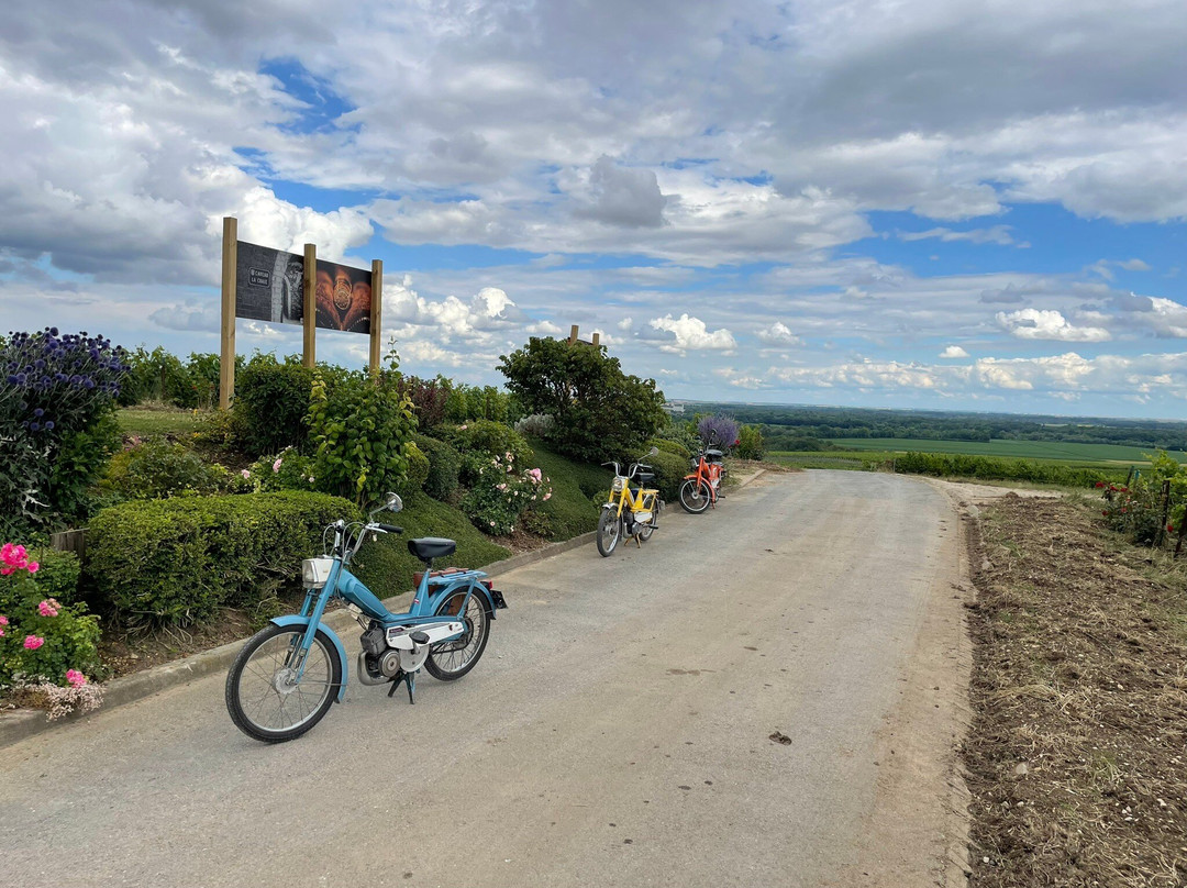 Pedal 'n' Pop景点图片