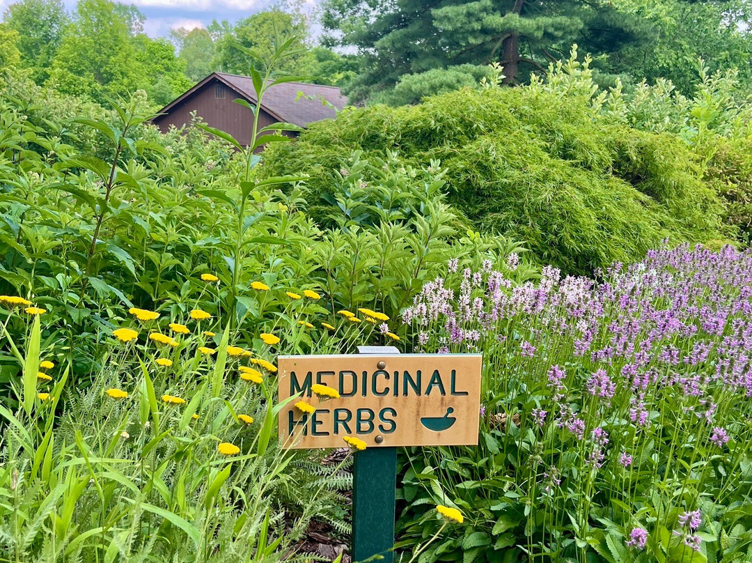 F.A. Seiberling Nature Realm-阿克伦必去景点