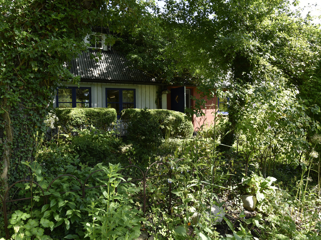 Killahusets trädgård-Borrby必去景点