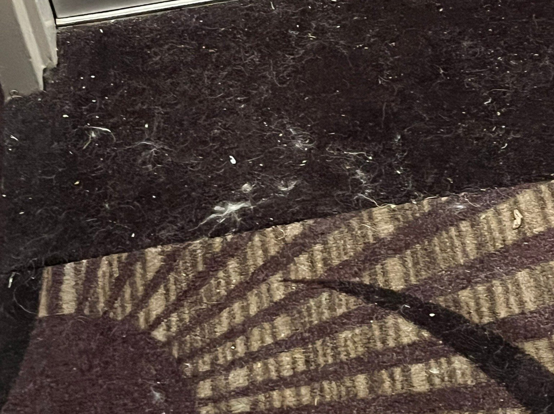 Best Western Plus Steeplegate Inn主图