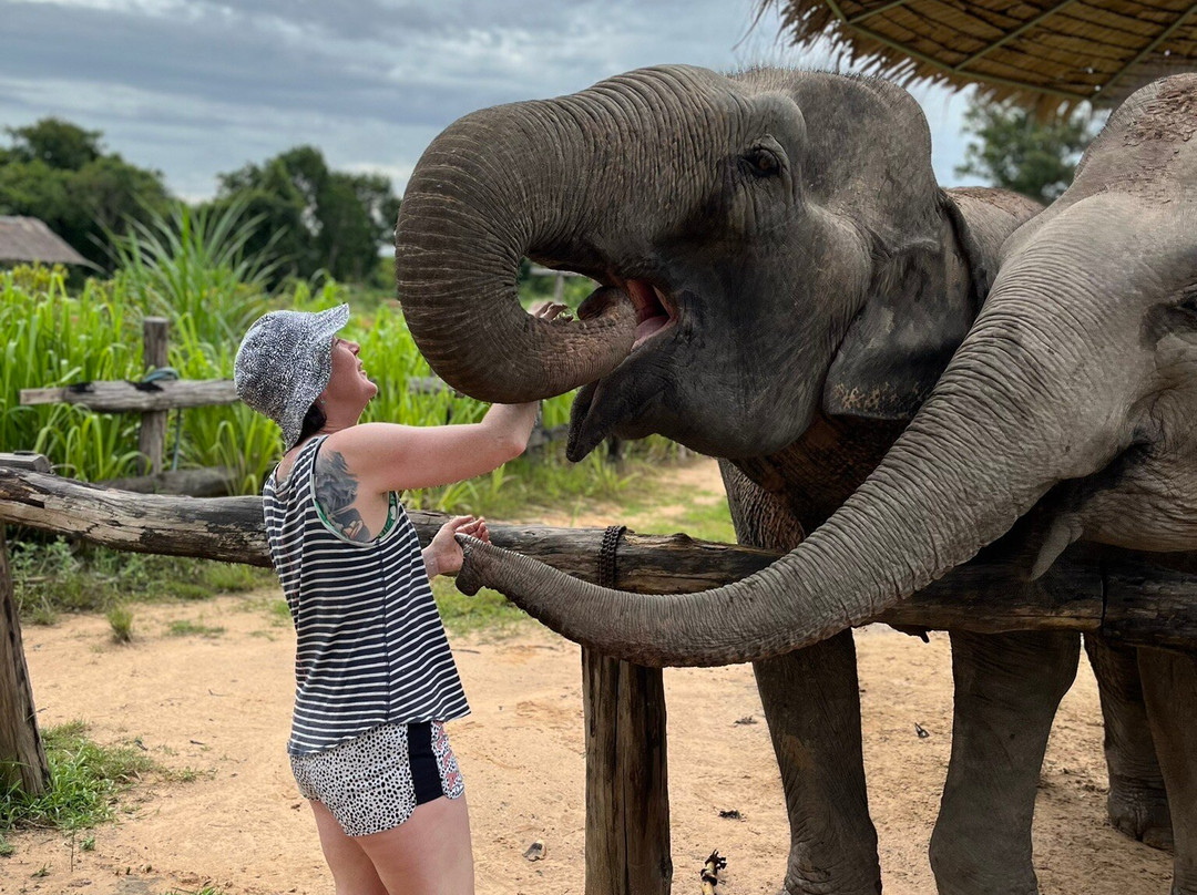 Cambodia Wildlife Sanctuary景点图片
