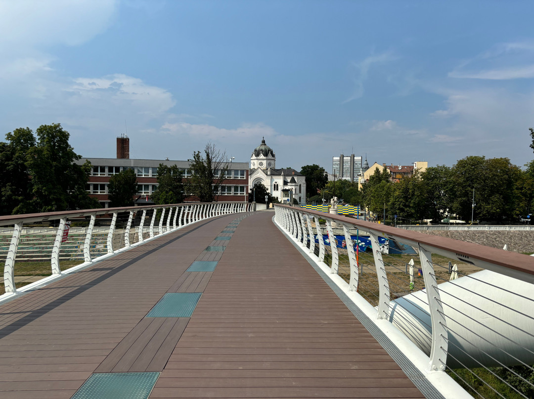 Tiszavirág Pedestrian Bridge-Szolnok必去景点