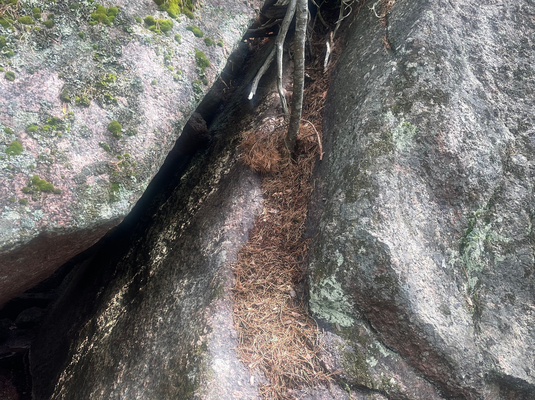 Blå Jungfrun Nationalpark-厄兰岛必去景点