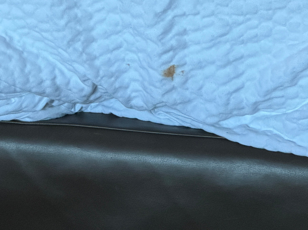 密尔沃基河希尔顿酒店主图