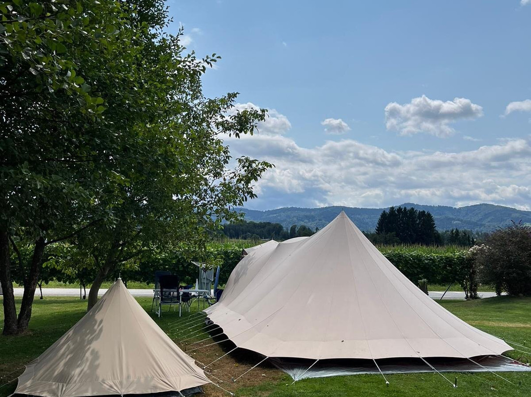 Olspur Camping