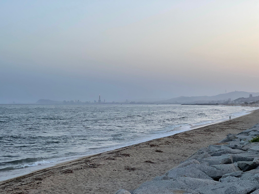 Platja del Masnou-埃尔马斯诺必去景点