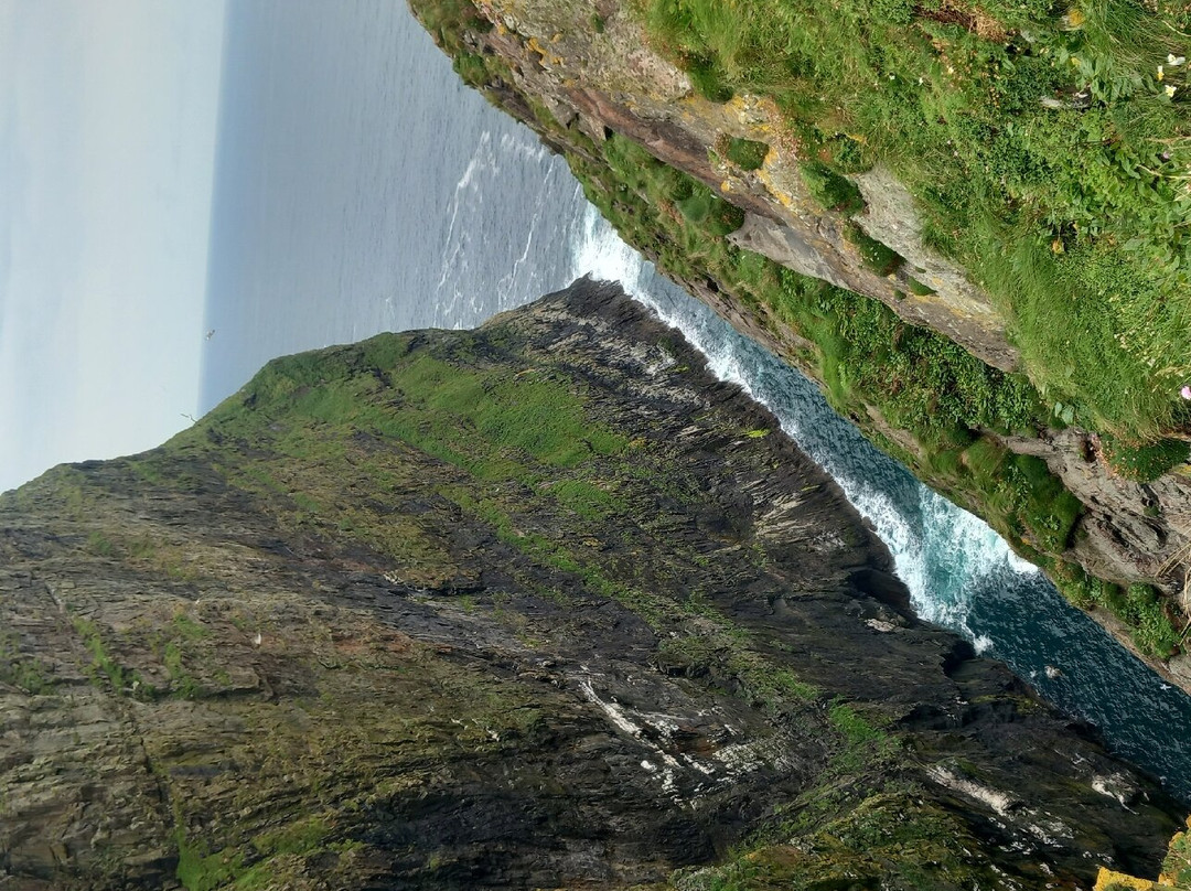 Hebridean Sea Tours景点图片