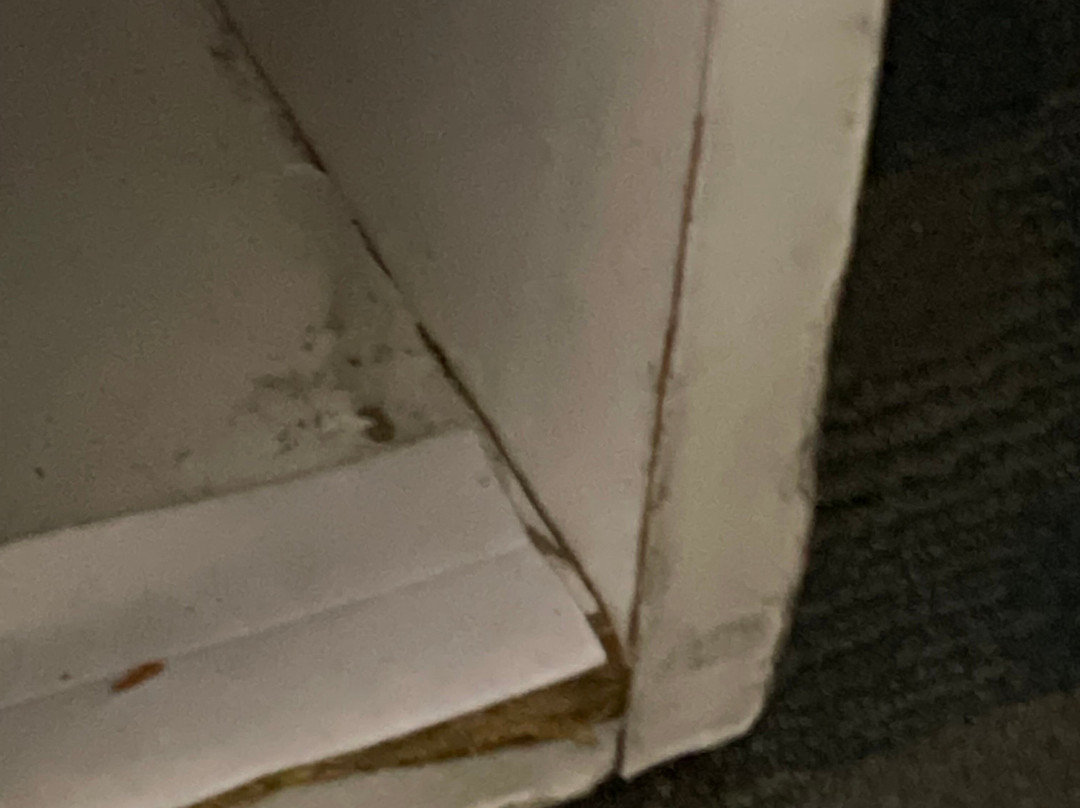 多马恩酒店主图