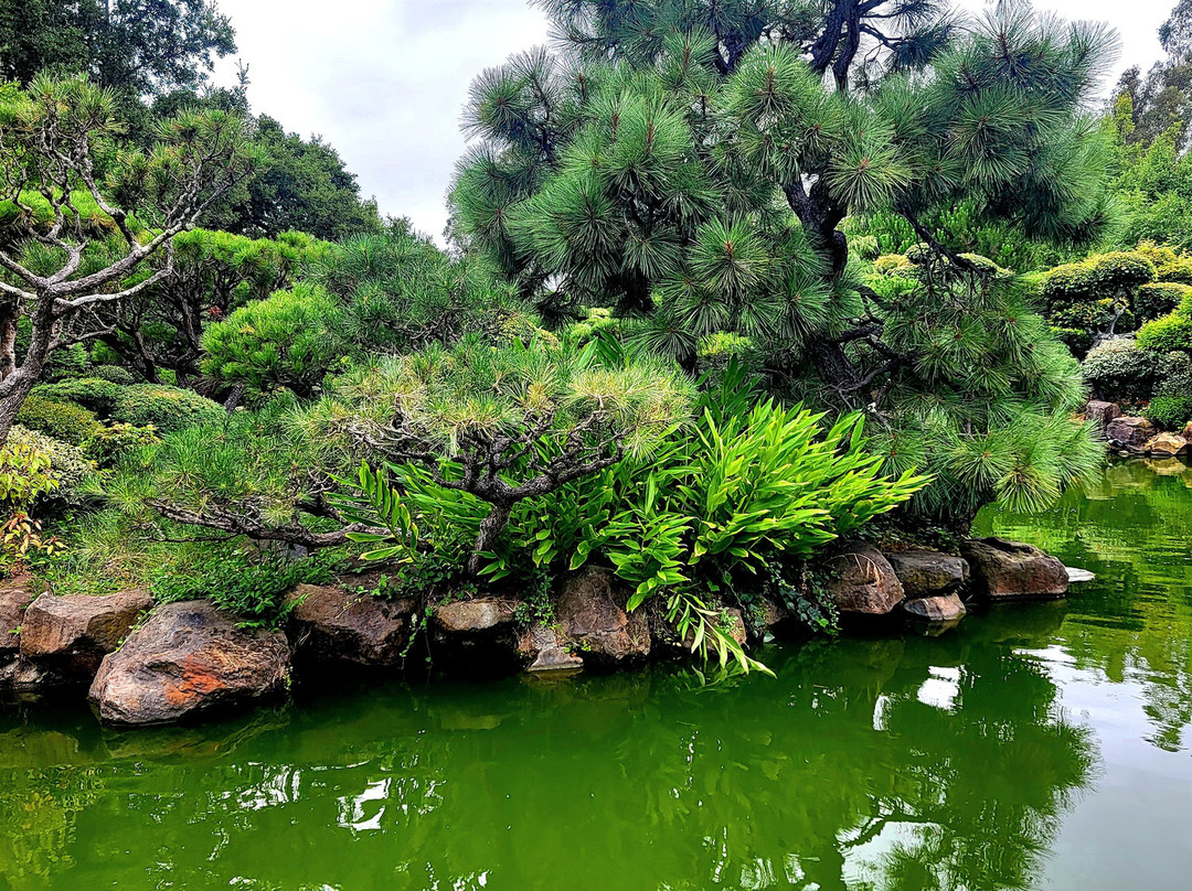Hayward Japanese Gardens-海沃德必去景点