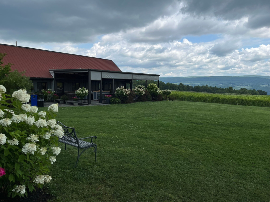 Lakewood Vineyards-沃特金斯格伦必去景点