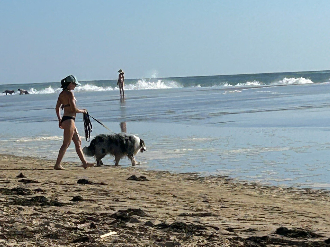 Plage de la Pointe Espagnole景点图片