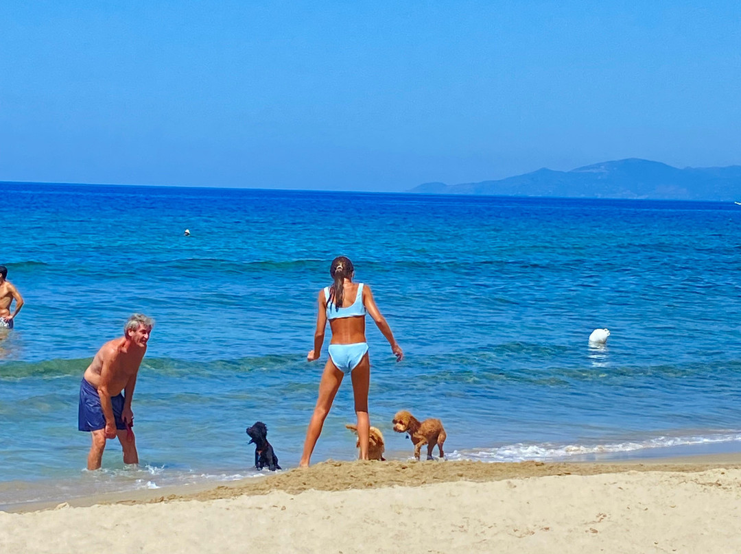 Bau Bau Beach-Lido di Jesolo必去景点