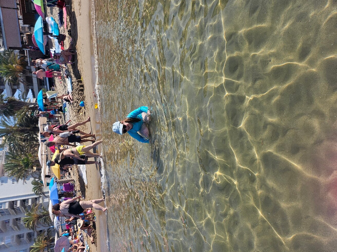 Llevant Beach景点图片