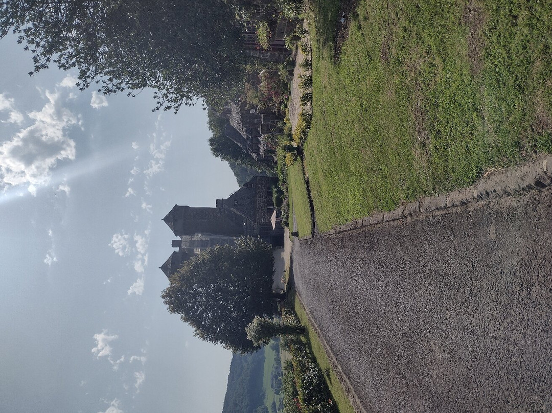 Chateau d'Anjony景点图片