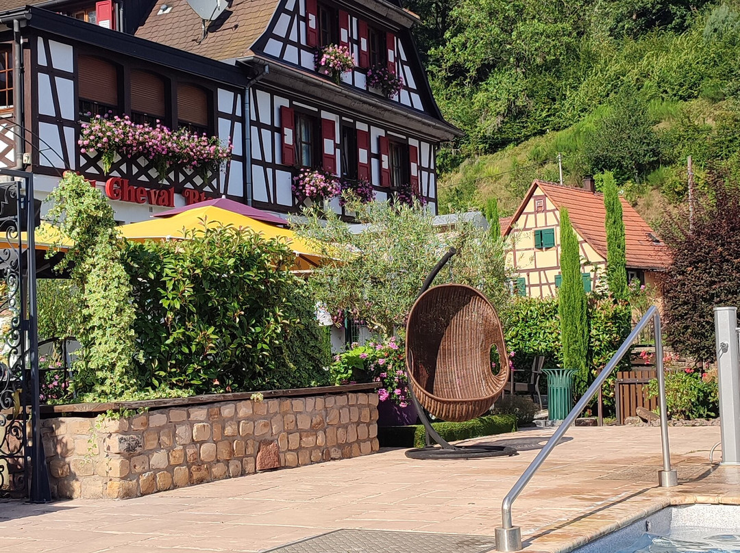 Hotel Restaurant au Cheval Blanc主图