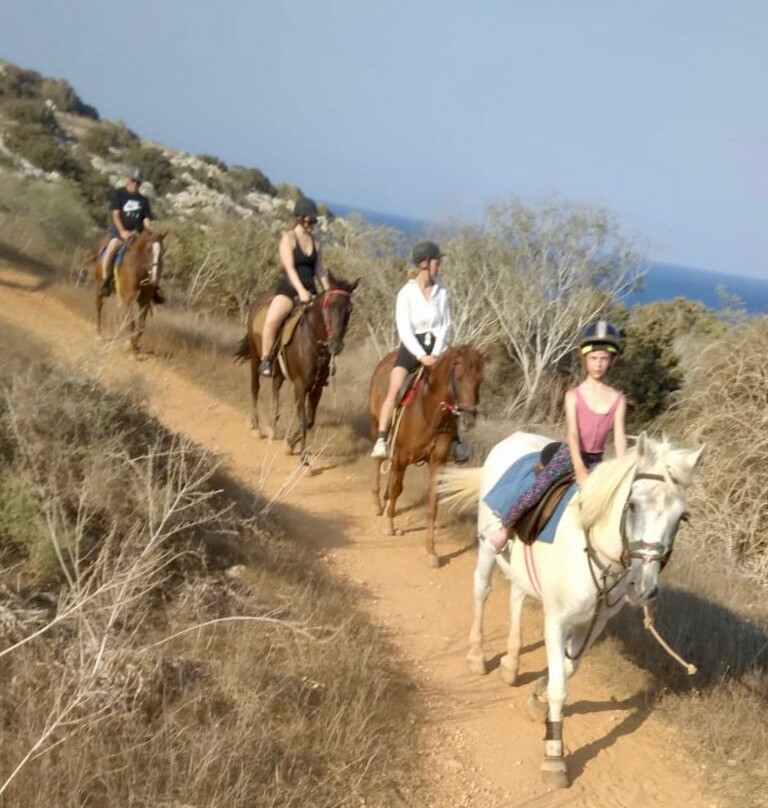 Moonshine Ranch-普它肋斯必去景点