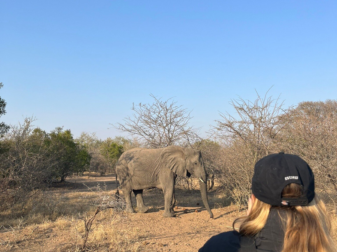 Little Africa Safari Lodge主图