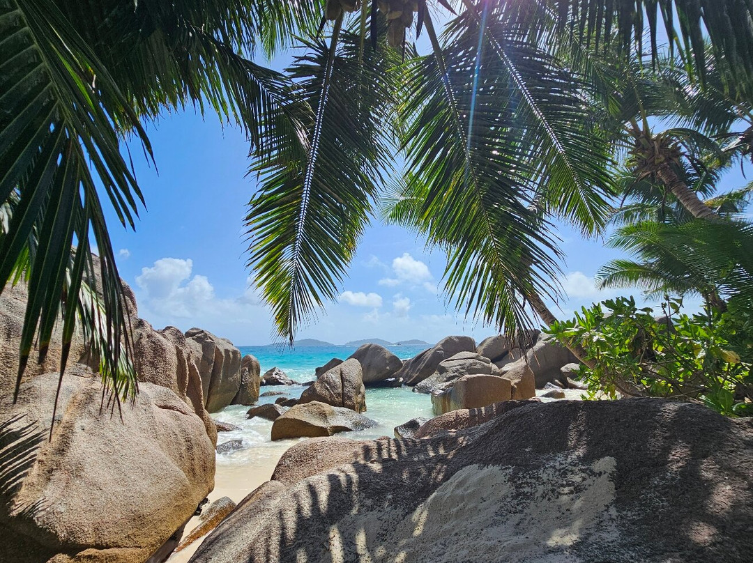 Anse Patates Beach景点图片