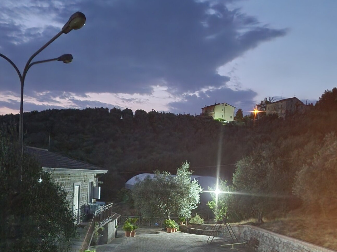 Agriturismo Casale degli Ulivi主图