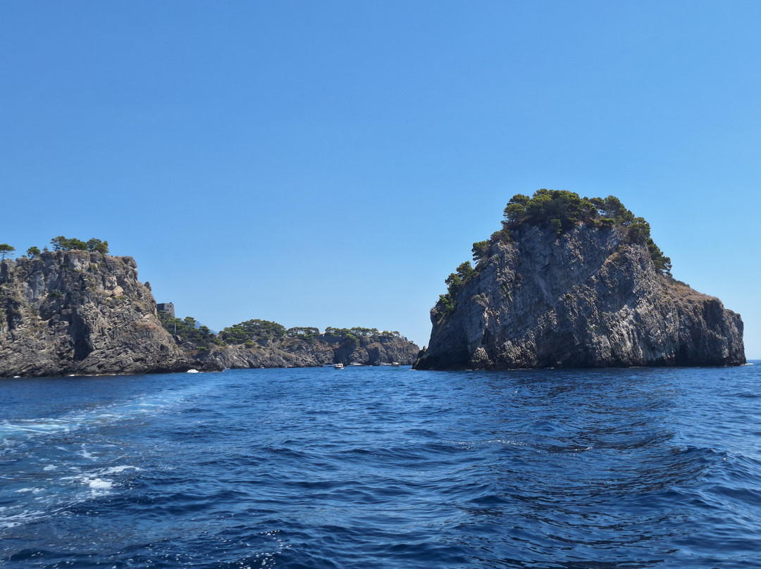 Area Marina Protetta Punta Campanella景点图片
