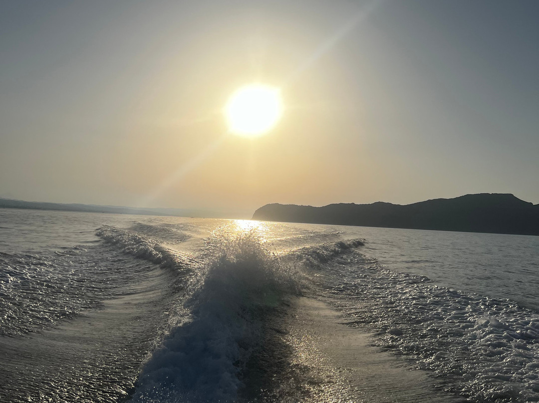 Artemis Boat Trips景点图片