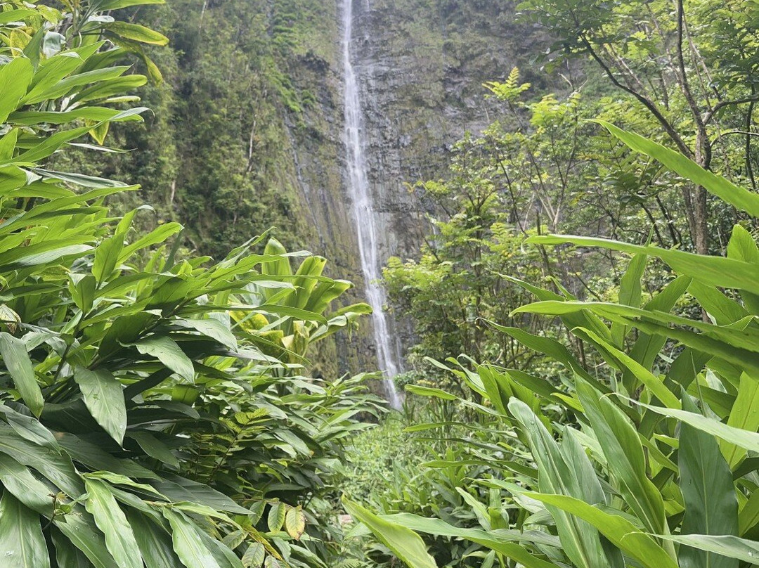 Waimoku Falls-毛伊岛必去景点