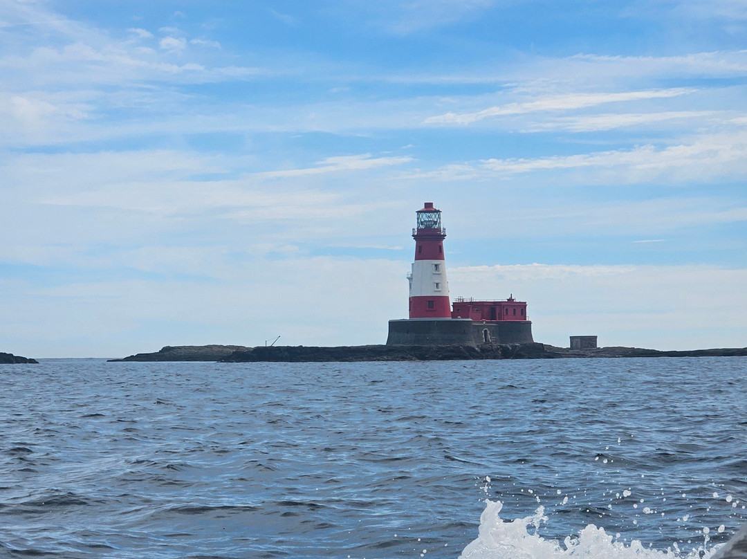 Golden Gate Farne Islands Boat Trips景点图片