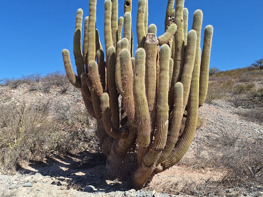 Uma Travel-萨尔塔必去景点