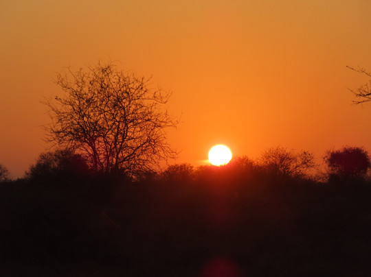 My Price Africa Adventure-蒙巴萨必去景点