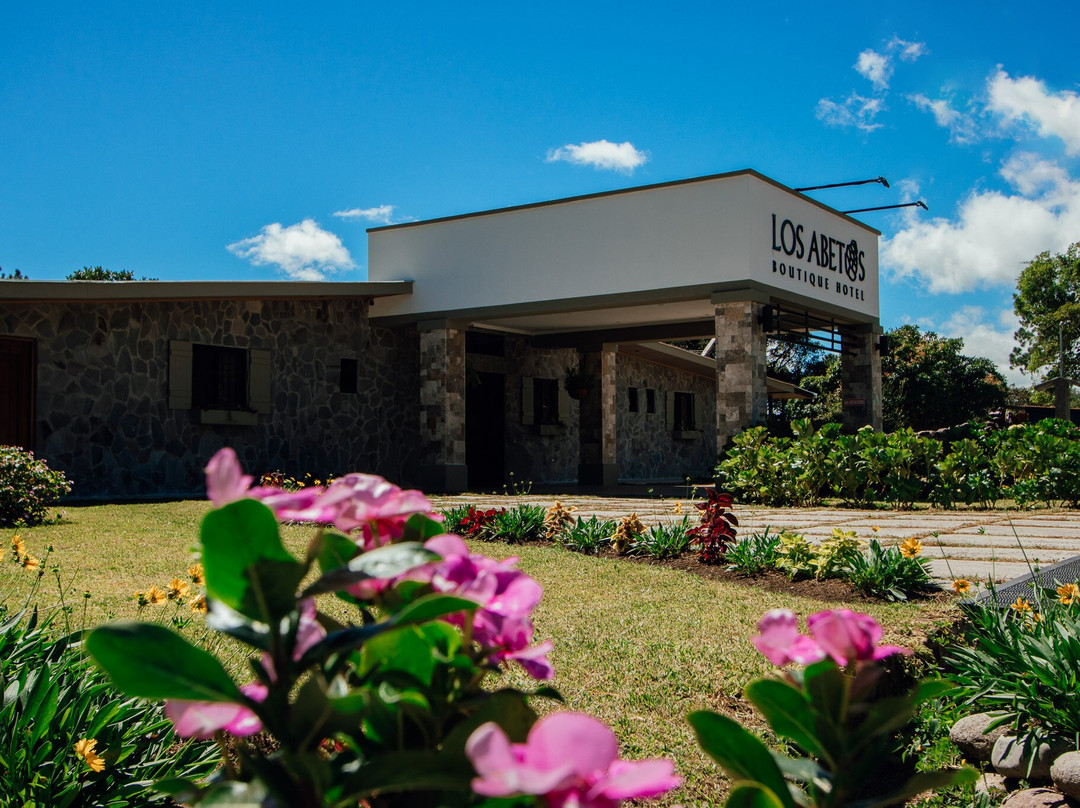 Hotel Boutique Los Abetos