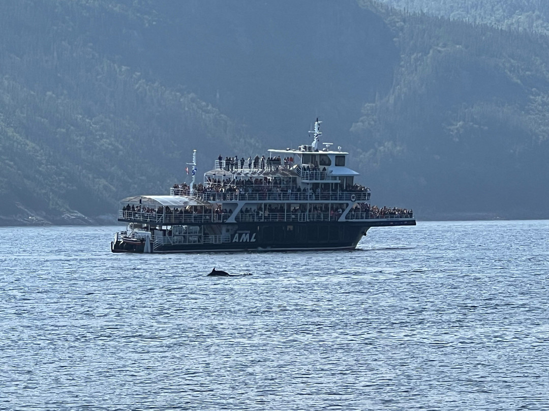 Croisières Aml | Tadoussac景点图片