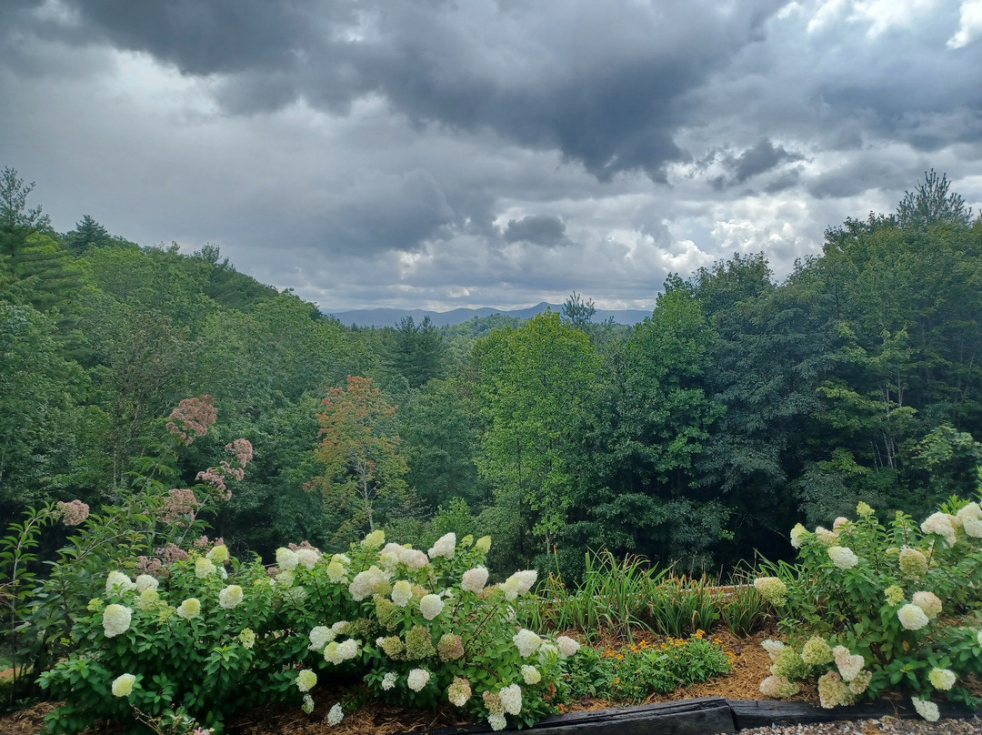 Iron Mountain Inn B&B主图