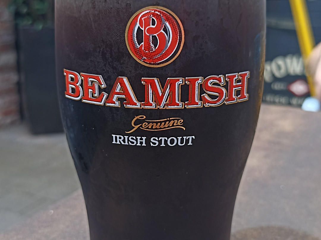 The White House Pub-金塞尔必去景点