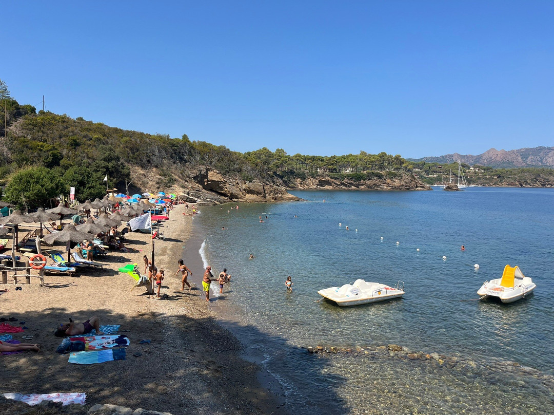 Spiaggia Calanova景点图片