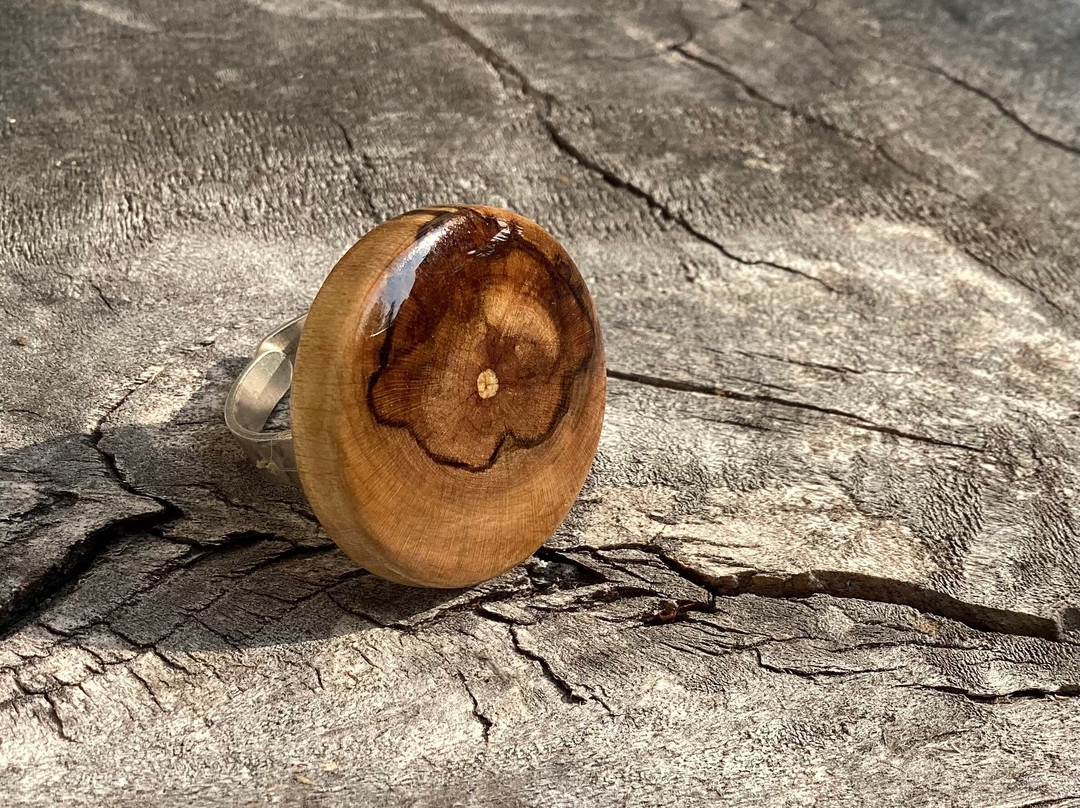 Les Éblouis-Sacré-Coeur-Saguenay必去景点