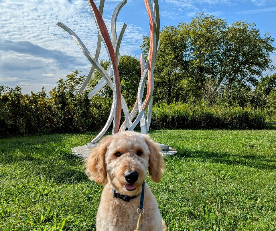 Meadowbrook Park-厄巴纳必去景点