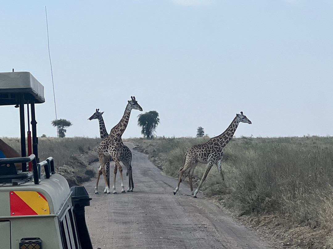 Tanzania Destination-阿鲁沙必去景点