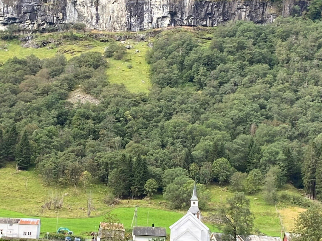 Fjord Cruise Naeroyfjord-弗洛姆必去景点
