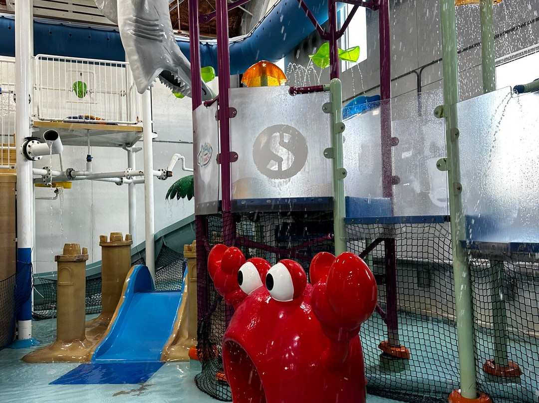 Splash Shack-斯德伯克必去景点