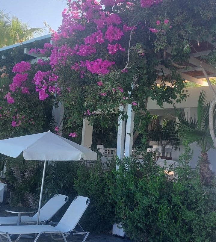 Hotel Plakures主图