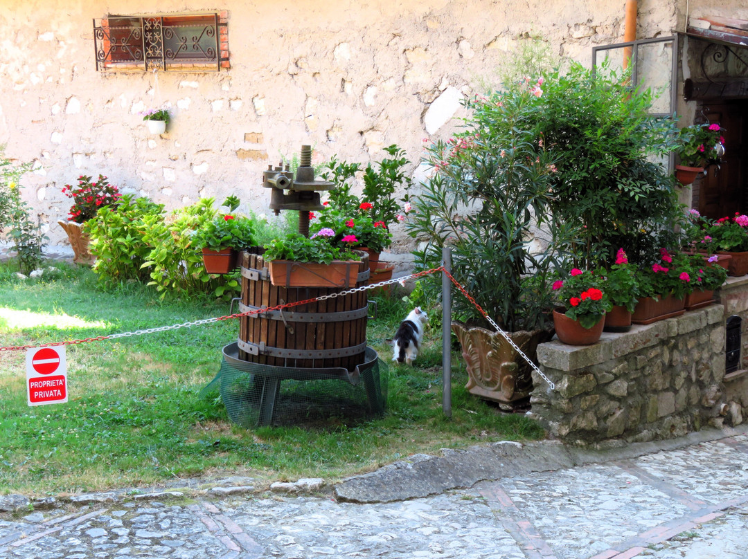 borgo medioevale di Contigliano alta景点图片