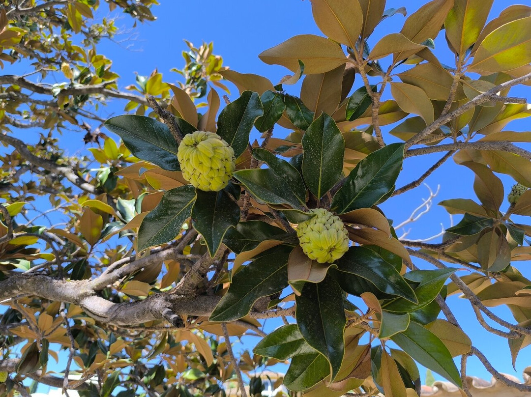 Hotel Riad Arruzafa主图