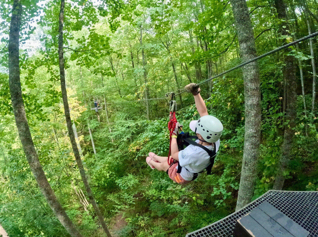 Highlands Aerial Park景点图片