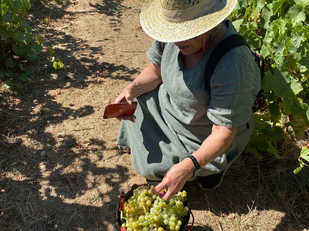 Quinta de Avessada景点图片