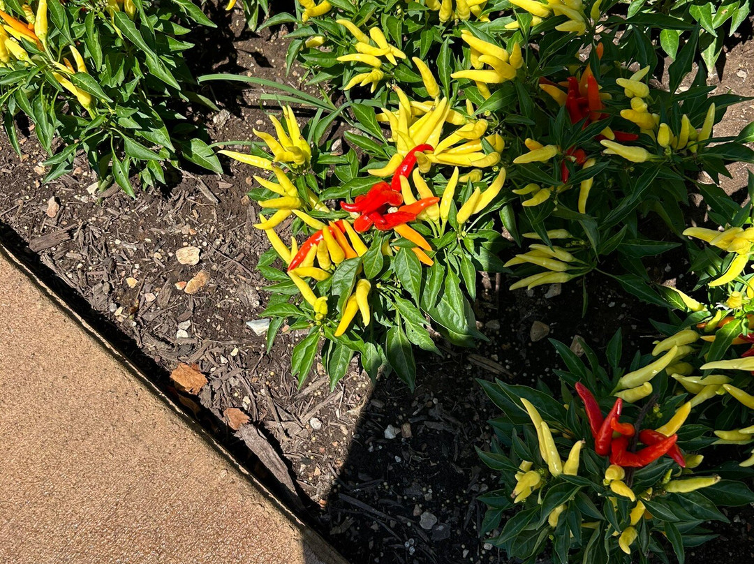 College of the Ozarks-Point Lookout必去景点